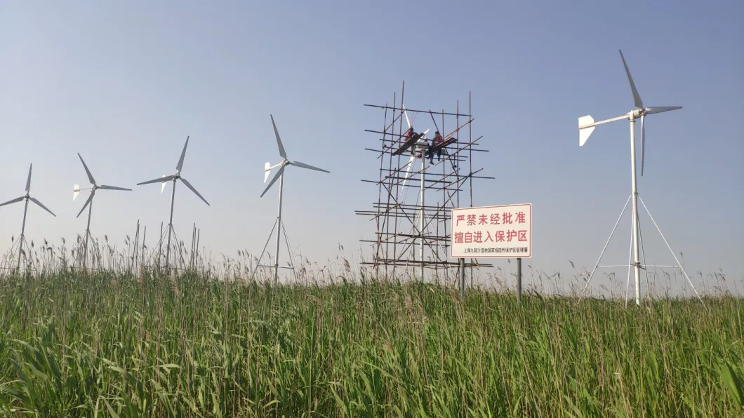 3000W Good Quality Micro Hotsale Wind Mill Wind Generator Manufacturer